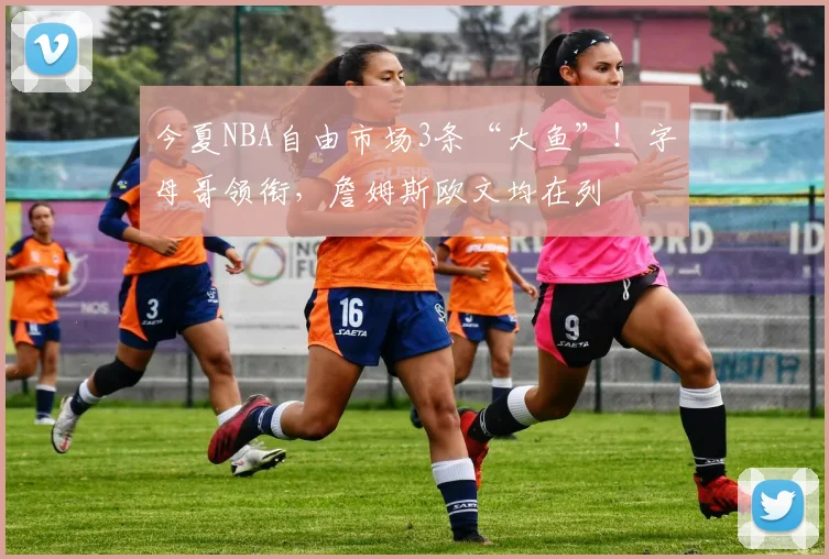 今夏NBA自由市场3条“大鱼”！字母哥领衔，詹姆斯欧文均在列