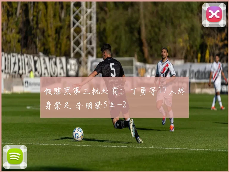 假赌黑第三批处罚：丁勇等17人终身禁足 李明禁5年