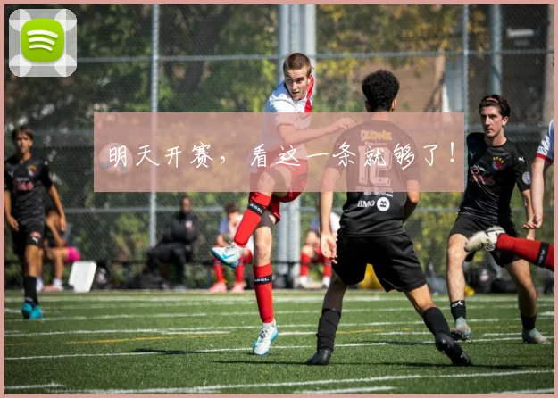 明天开赛，看这一条就够了！