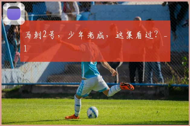 马刺2号，少年老成，这集看过？_1